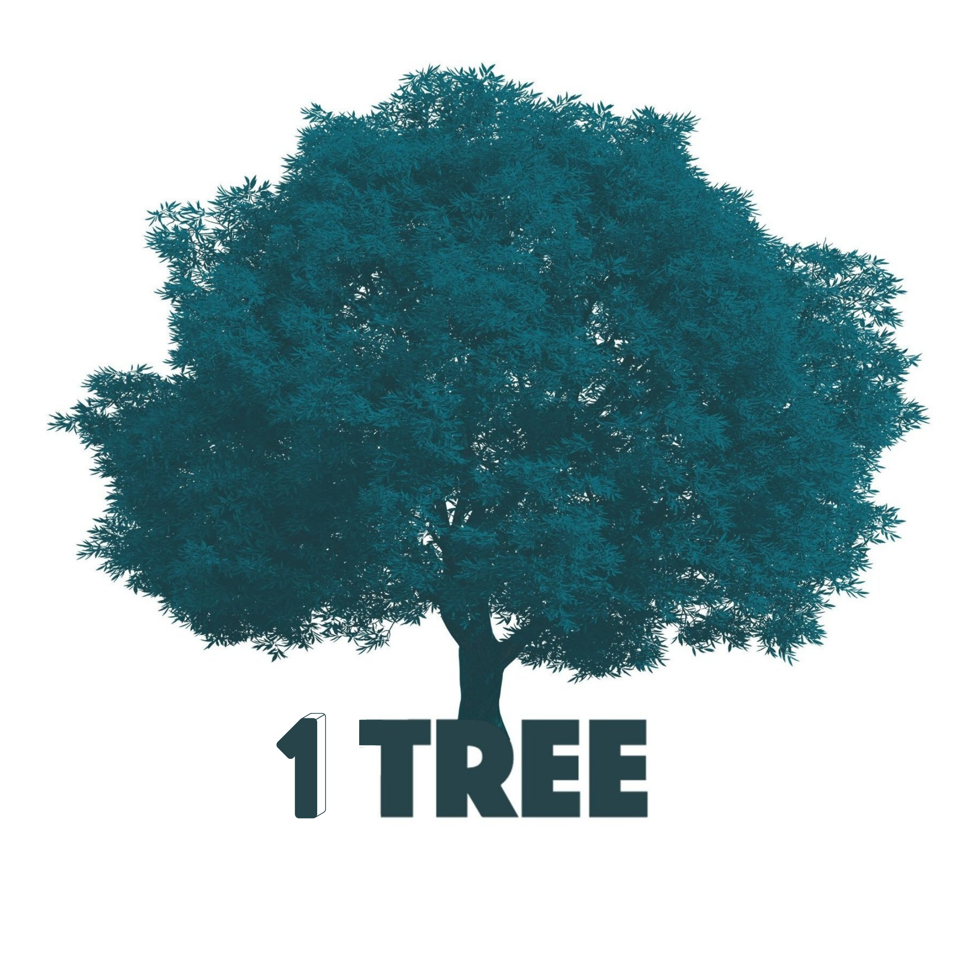 9Trees