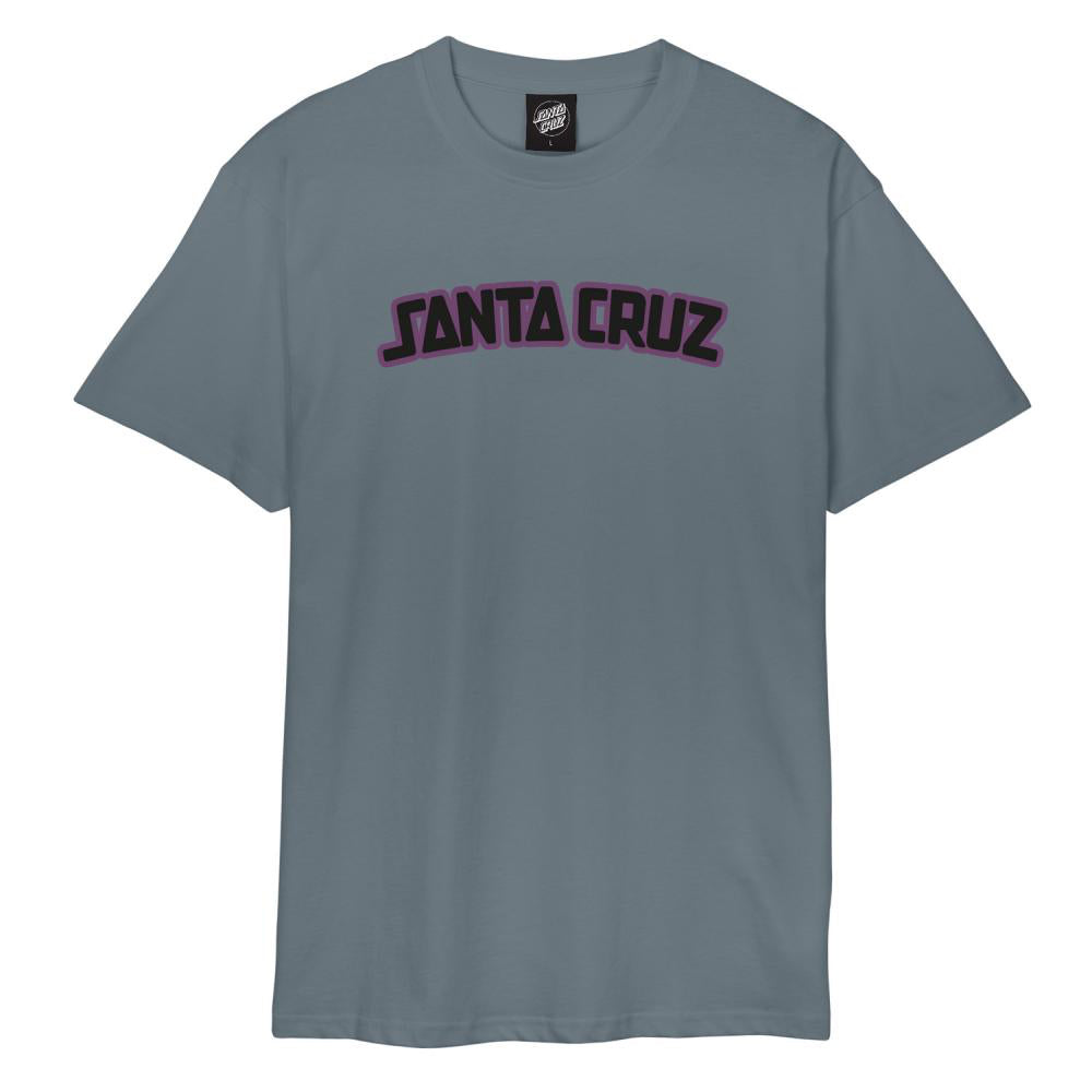 Santa Cruz Arch Strip T-Shirt - Iron | T-Shirts | Santa Cruz