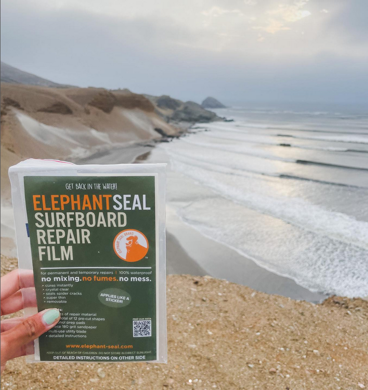 Elephant Seal Surfboard Repair Film